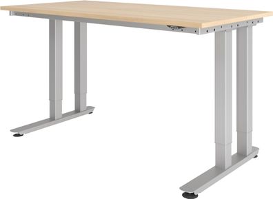 bümö Schwerlast-Tisch elektrisch verstellbar bis 350 kg, Tischplatte 160 x 80 cm in E