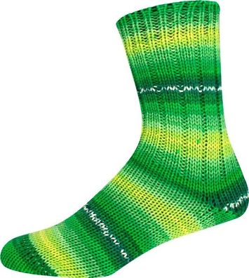 ONline Sockenwolle Sortierung 342 6-fach Merino - Color 150 g Farbe 2873