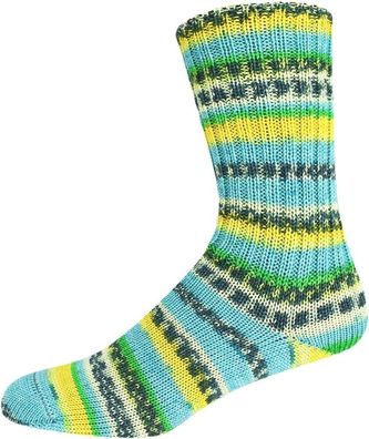 Sockenwolle ONline Tencel Color Sortierung 322 (Merino/ Lyocell) 100 g Farbe 2733