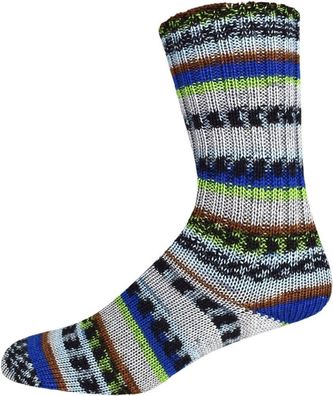 Sockenwolle ONline Tencel Color Sortierung 322 (Merino/ Lyocell) 100 g Farbe 2729