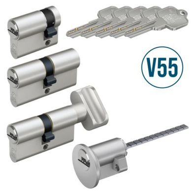 BASI - V55 - Profil-Zylinder - Diverse Ausführungen - Verschiedenschließend