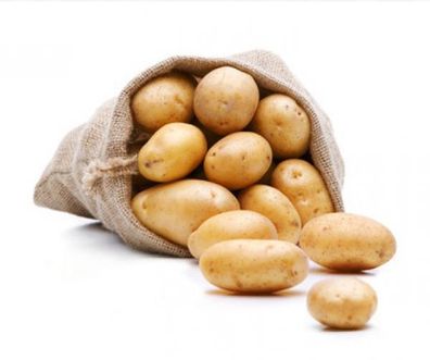 Speisekartoffeln Linda, festkochend, die beliebteste Heidekartoffel, cremig im ...