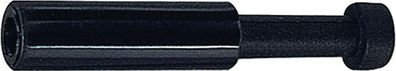Verschlussstecker Bl. Ser.6mm L1 33,6mm Riegler
