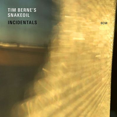 Tim Berne: Incidentals