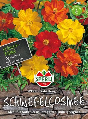 Sperli Schwefelkosmeen SPERLI´s Rabattengold - Blumensamen