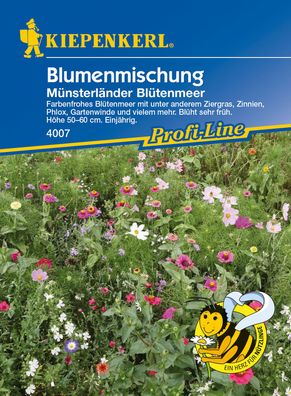 Kiepenkerl® Blumenmischung Münsterländer Blütenmeer - Blumensamen