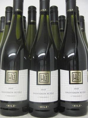 12 FL 2023 Sauvignon Blanc neuer Jahrgang Weingut Klaus Hilz Pfalz Versand kostenlos