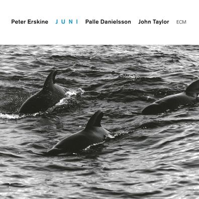 Peter Erskine: Juni (Touchstones) - - (CD / J)