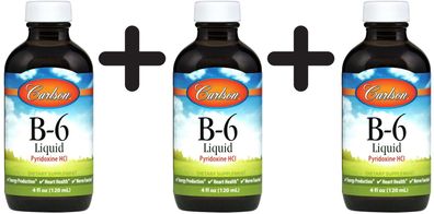 3 x Vitamin B-6, Liquid - 120 ml.