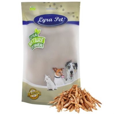 1 - 10 kg Lyra Pet® Kleine Fische