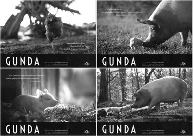 Gunda - 4 Original Kino-Aushangfotos - Joaquin Phoenix - Filmposter