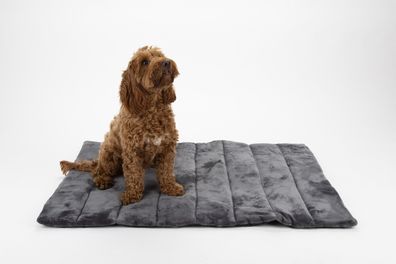 Scruffs - Expedition Roll Up Travel Pet Bed