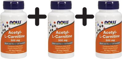 3 x Acetyl L-Carnitine, 500mg - 50 vcaps