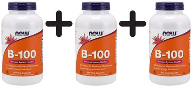 3 x Vitamin B-100 - 250 vcaps