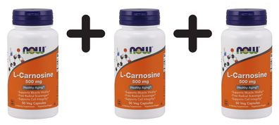 3 x L-Carnosine, 500mg - 50 vcaps