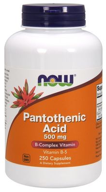 Pantothenic Acid, 500mg - 250 caps