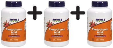 3 x Pantothenic Acid, 500mg - 250 caps