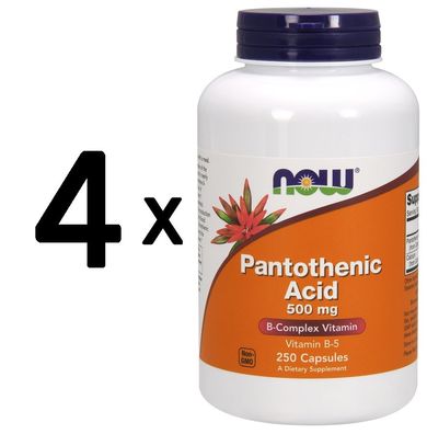 4 x Pantothenic Acid, 500mg - 250 caps