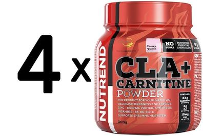 4 x CLA + Carnitine Powder, Cherry + Punch - 300g