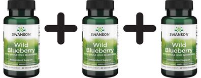 3 x Wild Blueberry, 250mg - 90 vcaps
