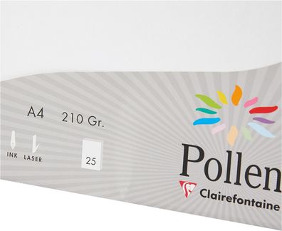 Clairefontaine Pollen Papier Perlmutt-Weiß 210g/ m² DIN-A4 25 Blatt