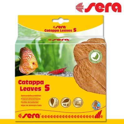 sera 10 St Catappa Leaves S Seemandelbaumblätter natürliche Wasseraufbereitung