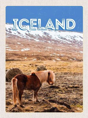 Top-Schild mit Kordel, versch. Größen, Island, Inselstaat, Pony, neu & ovp -5-