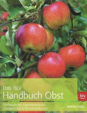 Das BLV Handbuch Obst - Obstgehölze & Beerensträucher - Martin Stangl