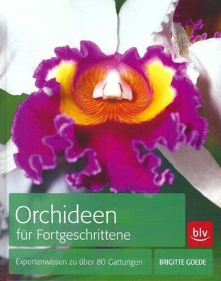 Orchideen für Fortgeschrittene - Brigitte Goede - BLV Verlag
