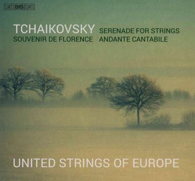 Peter Iljitsch Tschaikowsky (1840-1893) - Serenade für Streicher op.48 - - (Classi