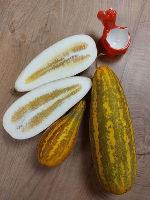 Malabar - Gurke Melon - Cucumis maderaspatensis 5+ Samen - Saatgut Cu 049
