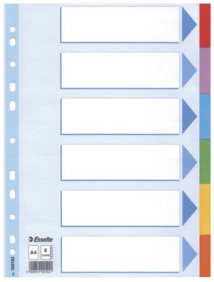 Esselte 100192 Register - blanko, Karton, A4, 6 Blatt, weiß, farbige Taben(S)