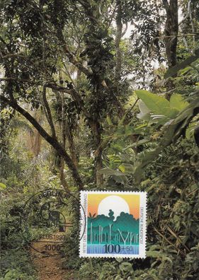 Tropischer Regenwald Maxik. BRD 1992