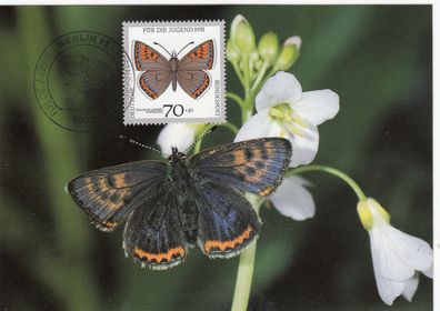 Feuerfalter Gefärdete Schmetterlinge Maxik. BRD 1991 Edition Maxiphil