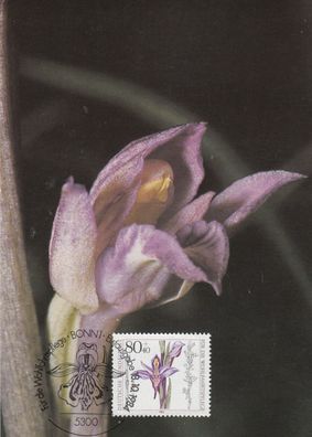 Violette Dingel Orchidee Maxik. BRD 1984