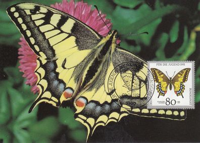 Schwatbenschwanz Gefärdete Schmetterlinge Maxik. BRD 1991 Edition Maxiphil