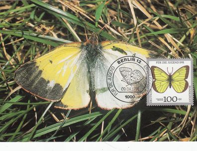 Hochmoorgelbling Gefärdete Schmetterlinge Maxik. BRD 1991 Edition Maxiphil