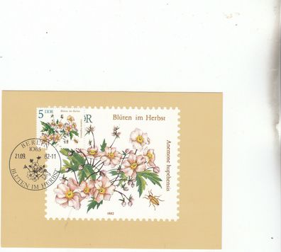 Anemone hupehensis Blüten im Herbst Maxik. DDR von 1982