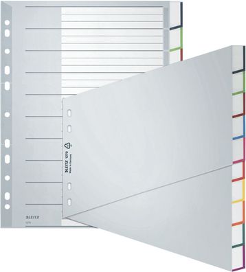 LEITZ Kunststoff-Register, blanko, A4 šberbreite, schr„g