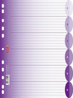 Brunnen 106659460 Ringbuchregister A4 6teilig purple