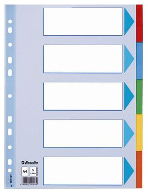 Esselte 100191 Register - blanko, Karton, A4, 5 Blatt, weiß, farbige Taben