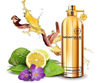 Montale Aoud Leather - Parfumprobe/ Zerstäuber