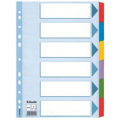 Esselte 100168 Karton-Register blanko A4 6-teilig mehrfarbig(S)