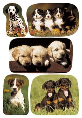 Herma 3528 3528 Sticker DECOR Hundewelpenfotos