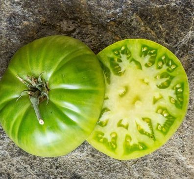 Tomate Summertime Green dwarf tomato 5+ Samen samenfeste Fleischtomate P 558