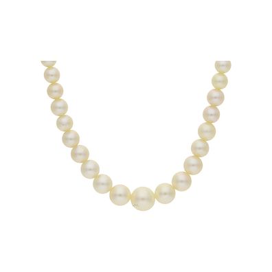 JuwelmaLux Perlenkette 585/000 (14 Karat) Gold mit Akoya Zuchtperle ...