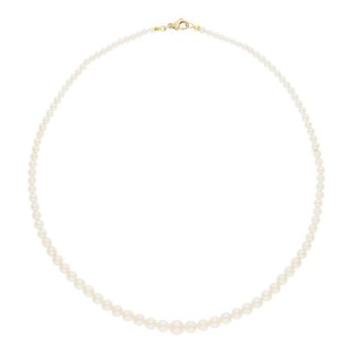 JuwelmaLux Perlenkette 333/000 (8 Karat) Gold mit Akoya- Zuchtperlen ...