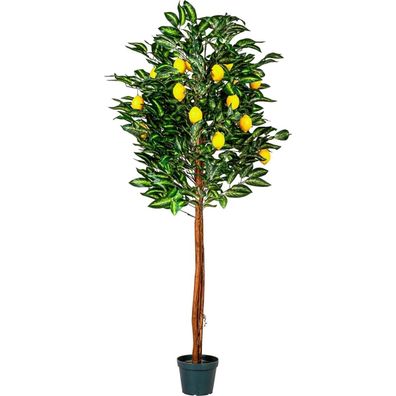 Plantasia® Kunstpflanze Dekobaum Zitronenbaum Zimmerpflanze groß authentisch