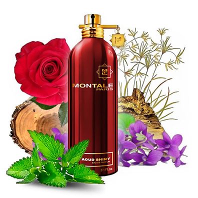 Montale Aoud Shiny - Parfumprobe/ Zerstäuber