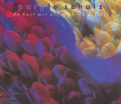 Maxi CD Cover Purple Schulz - Du hast mir gerade noch gefehlt